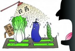農(nóng)藥危害大？農(nóng)藥殘留檢測儀來幫忙